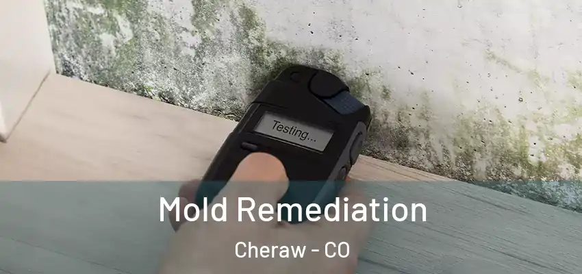  Mold Remediation Cheraw - CO