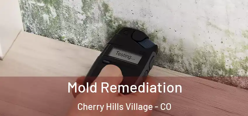  Mold Remediation Cherry Hills Village - CO