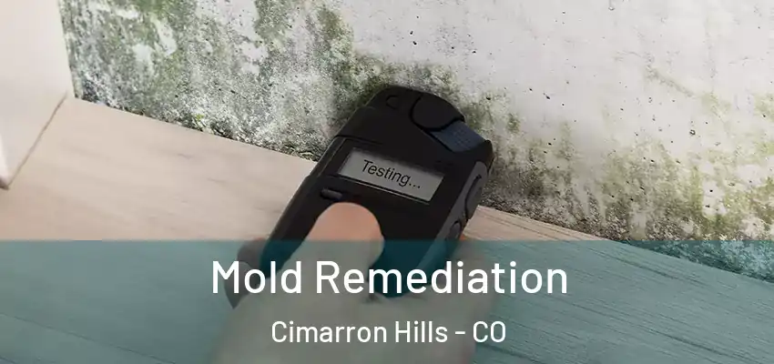  Mold Remediation Cimarron Hills - CO
