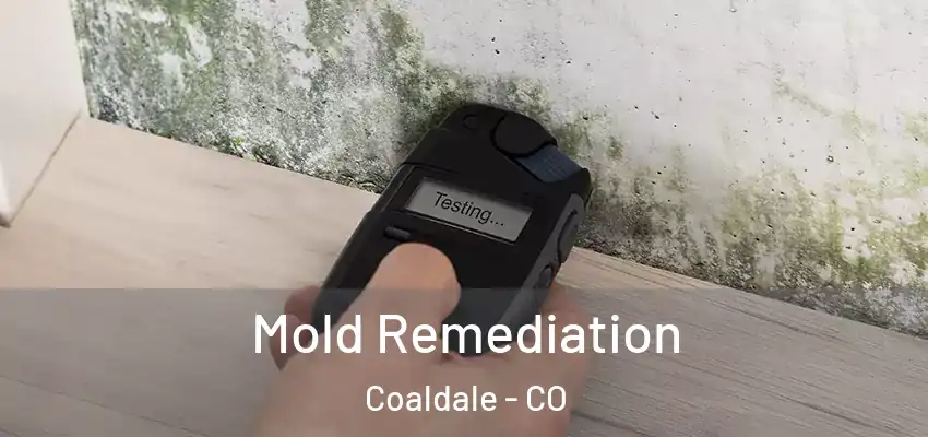 Mold Remediation Coaldale - CO