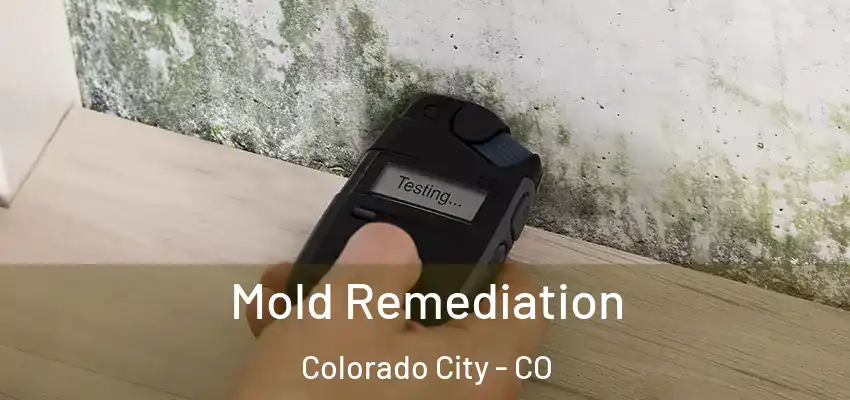  Mold Remediation Colorado City - CO