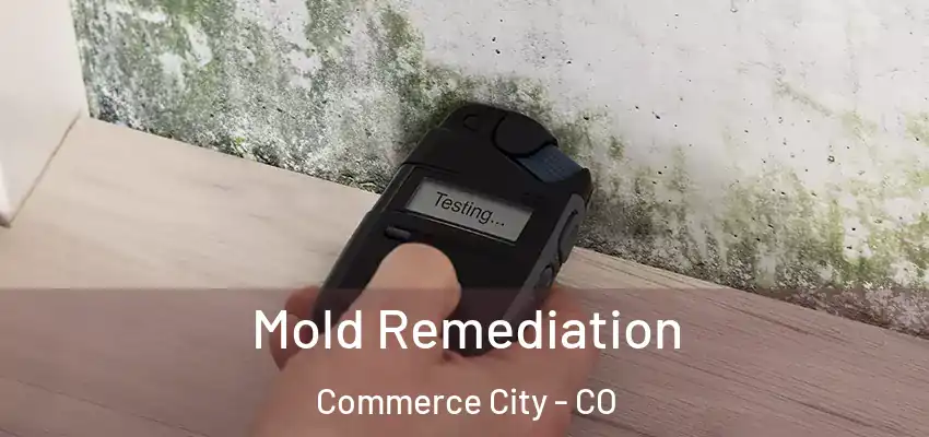  Mold Remediation Commerce City - CO