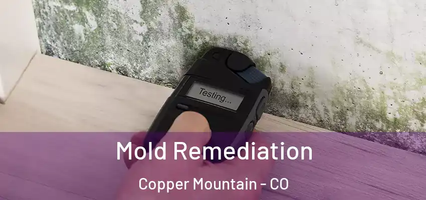  Mold Remediation Copper Mountain - CO