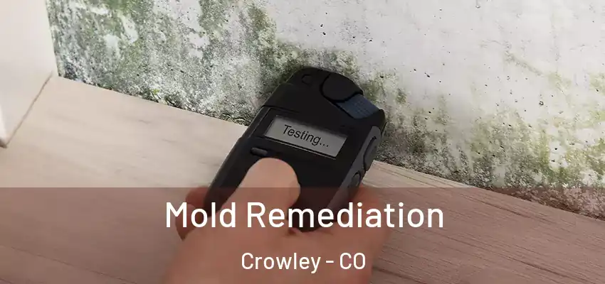  Mold Remediation Crowley - CO