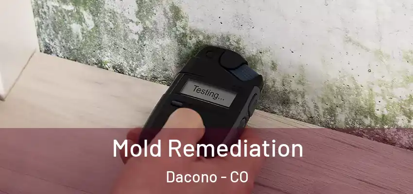  Mold Remediation Dacono - CO