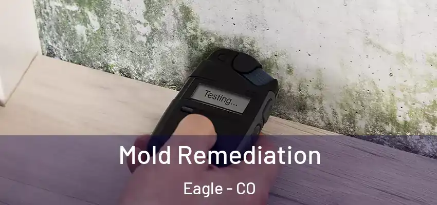 Mold Remediation Eagle - CO