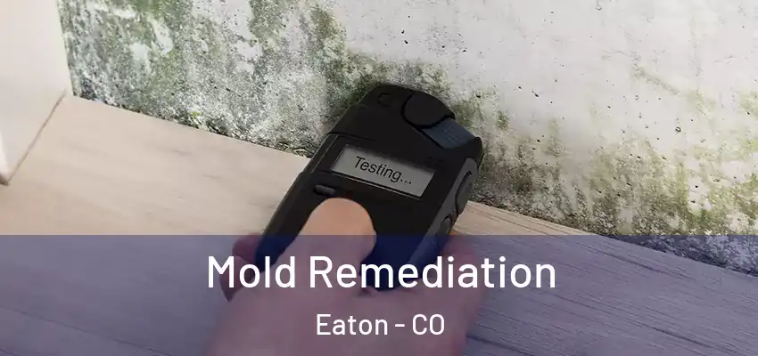Mold Remediation Eaton - CO