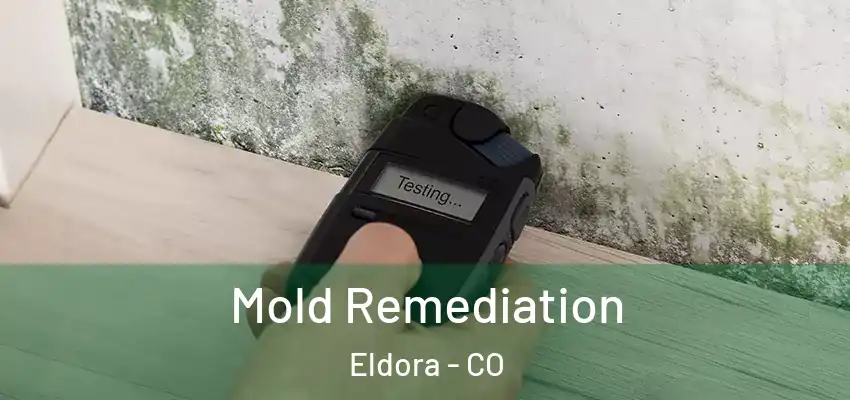 Mold Remediation Eldora - CO
