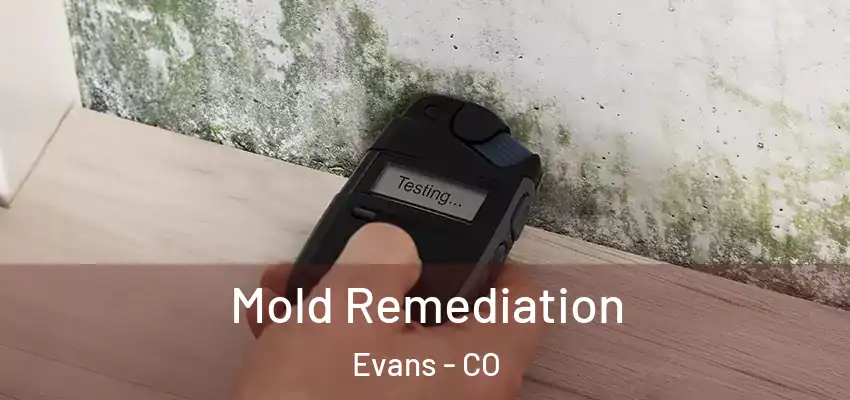 Mold Remediation Evans - CO