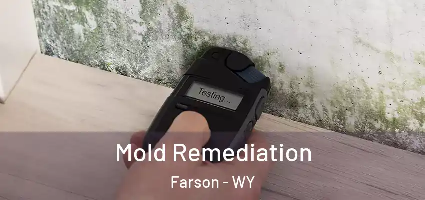 Mold Remediation Farson - WY