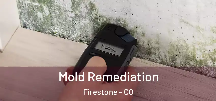 Mold Remediation Firestone - CO