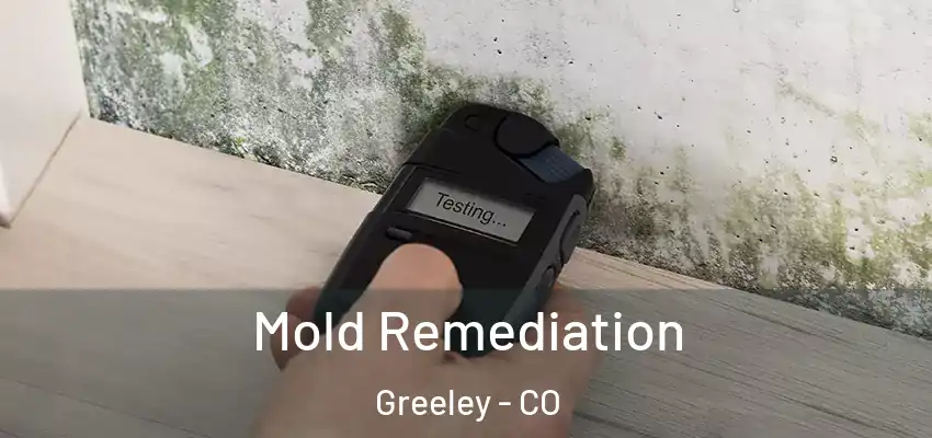  Mold Remediation Greeley - CO