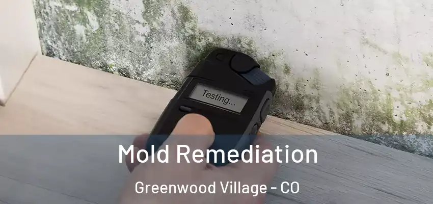  Mold Remediation Greenwood Village - CO