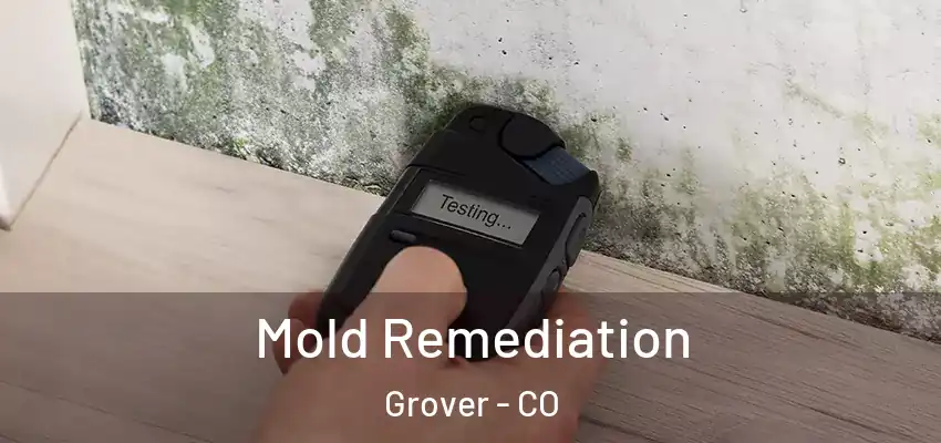  Mold Remediation Grover - CO