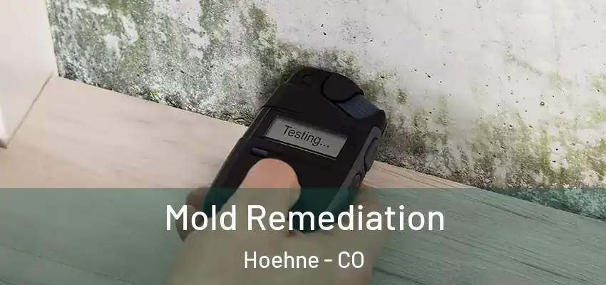 Mold Remediation Hoehne - CO