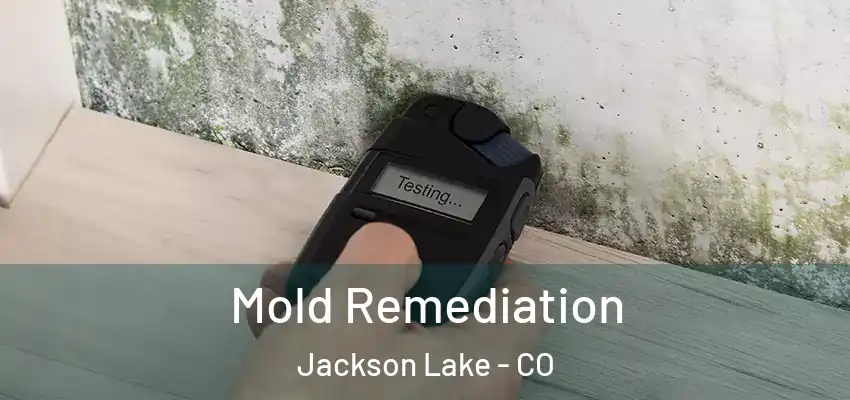 Mold Remediation Jackson Lake - CO