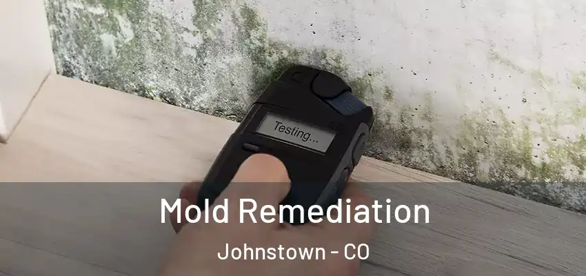  Mold Remediation Johnstown - CO