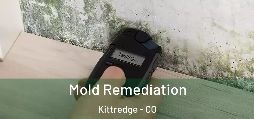 Mold Remediation Kittredge - CO