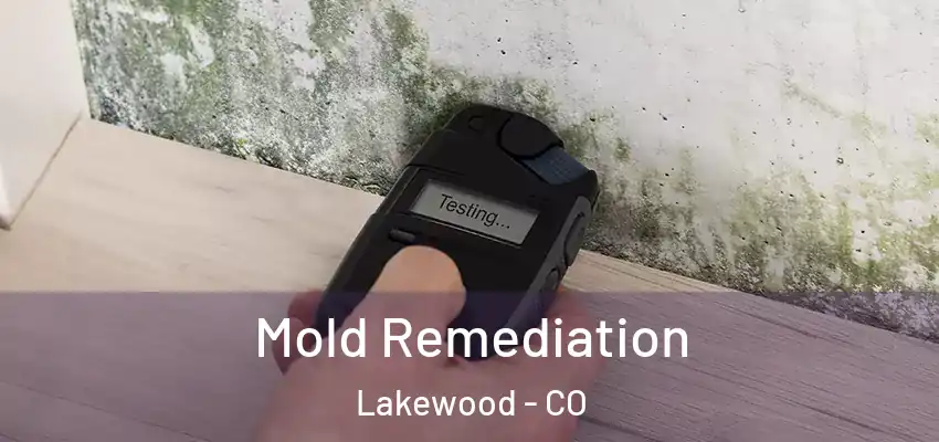  Mold Remediation Lakewood - CO