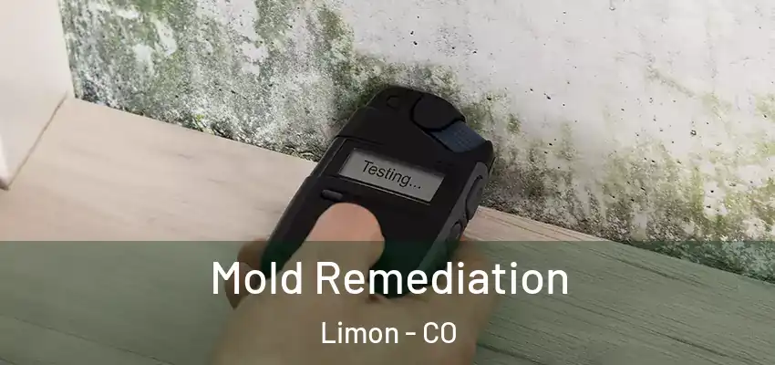  Mold Remediation Limon - CO