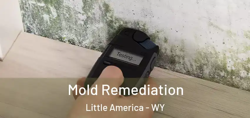  Mold Remediation Little America - WY