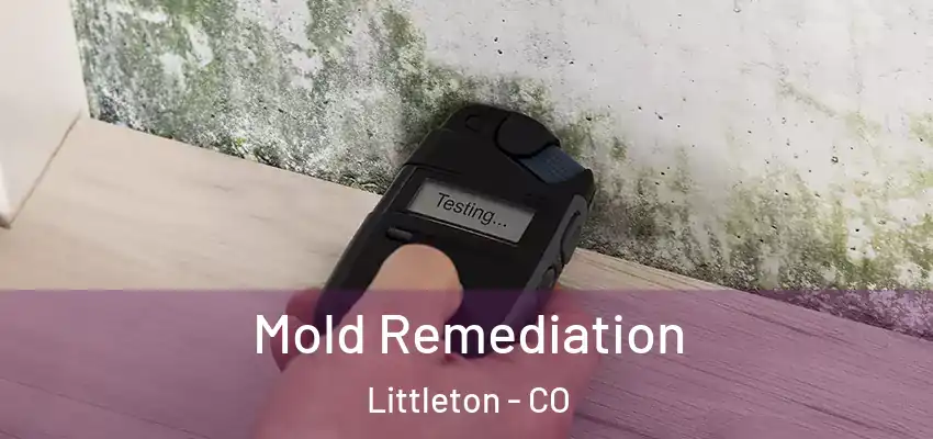 Mold Remediation Littleton - CO