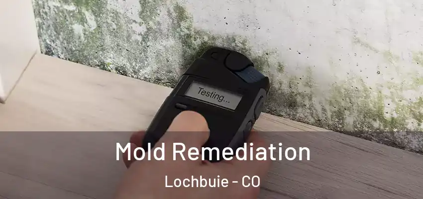 Mold Remediation Lochbuie - CO