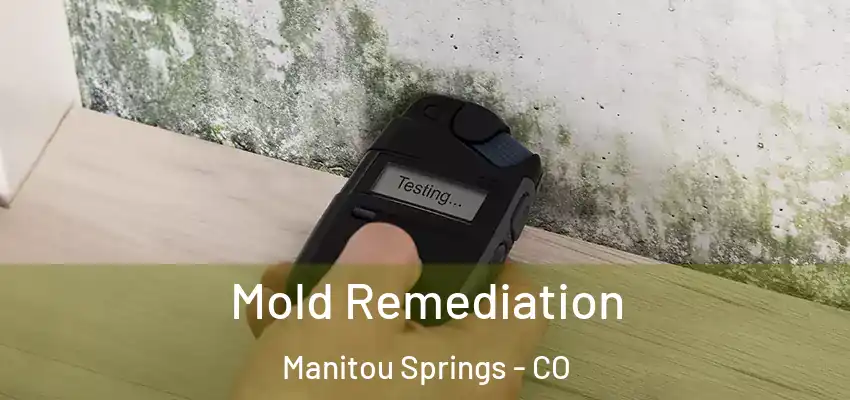  Mold Remediation Manitou Springs - CO