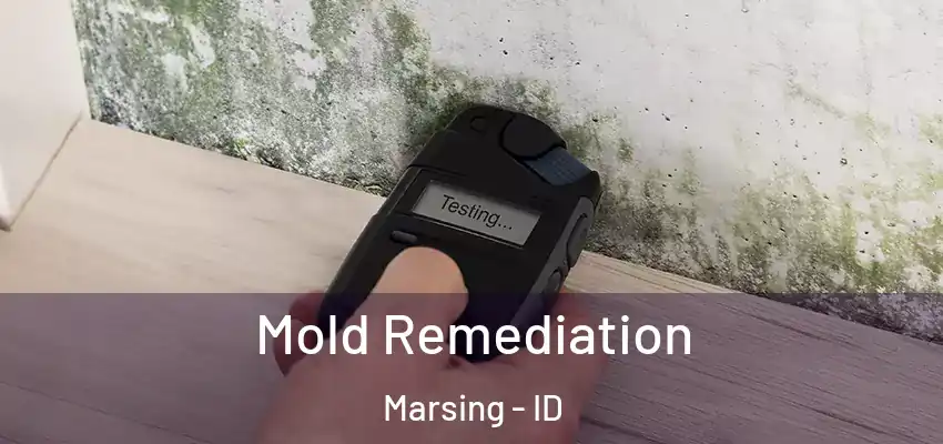  Mold Remediation Marsing - ID