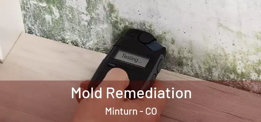  Mold Remediation Minturn - CO