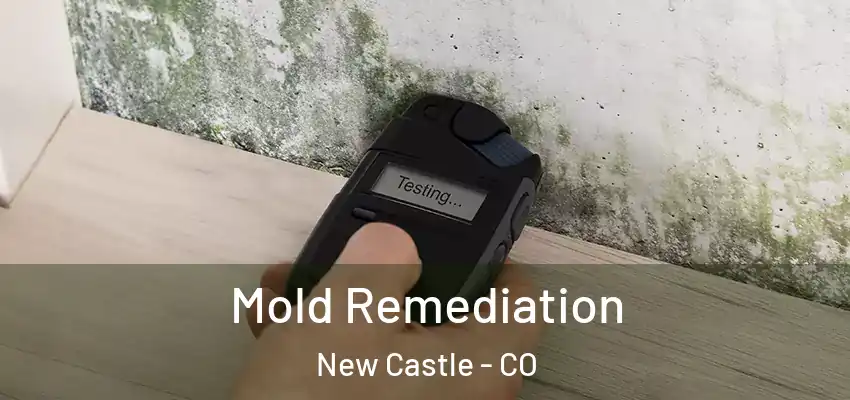  Mold Remediation New Castle - CO
