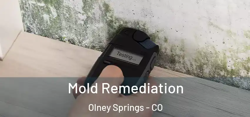  Mold Remediation Olney Springs - CO