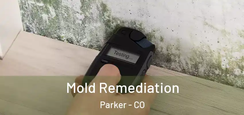  Mold Remediation Parker - CO