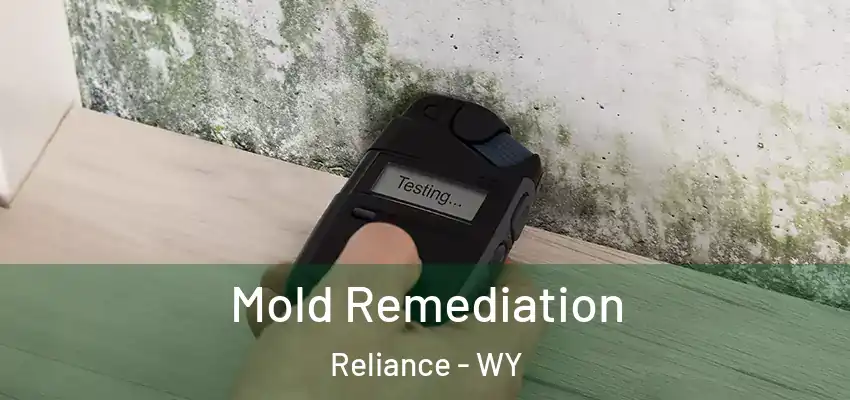 Mold Remediation Reliance - WY