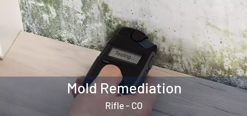 Mold Remediation Rifle - CO
