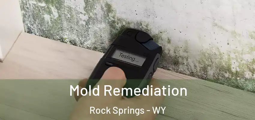  Mold Remediation Rock Springs - WY