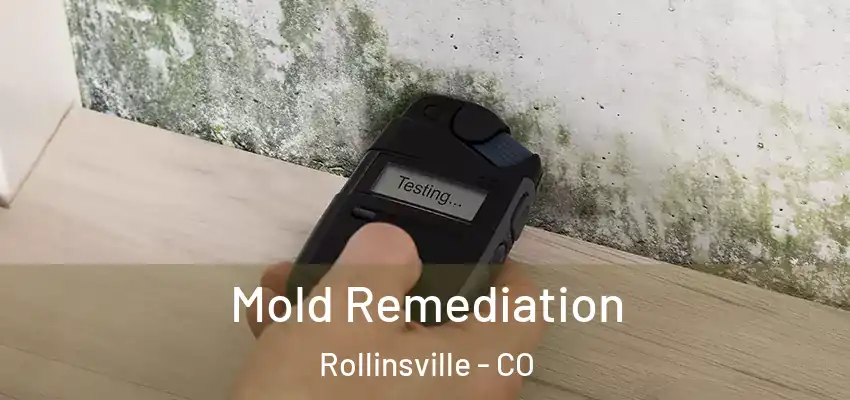 Mold Remediation Rollinsville - CO
