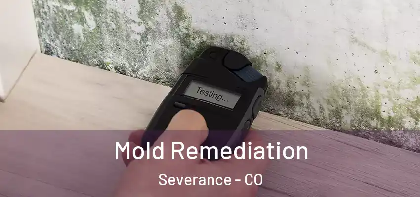 Mold Remediation Severance - CO