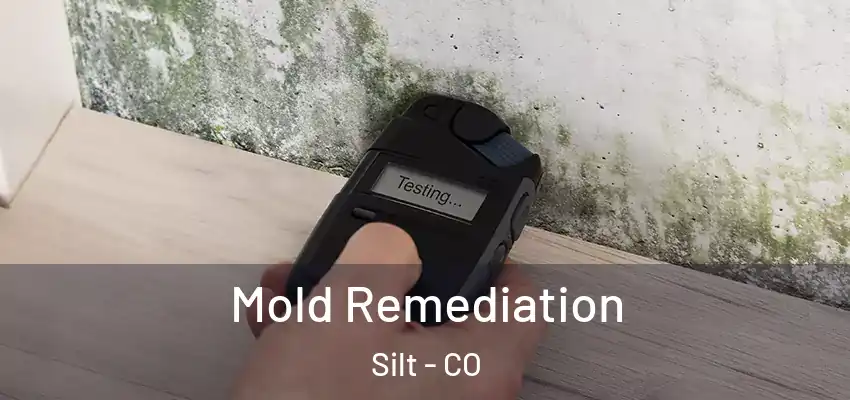  Mold Remediation Silt - CO