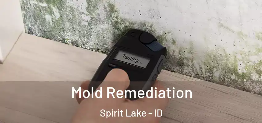  Mold Remediation Spirit Lake - ID