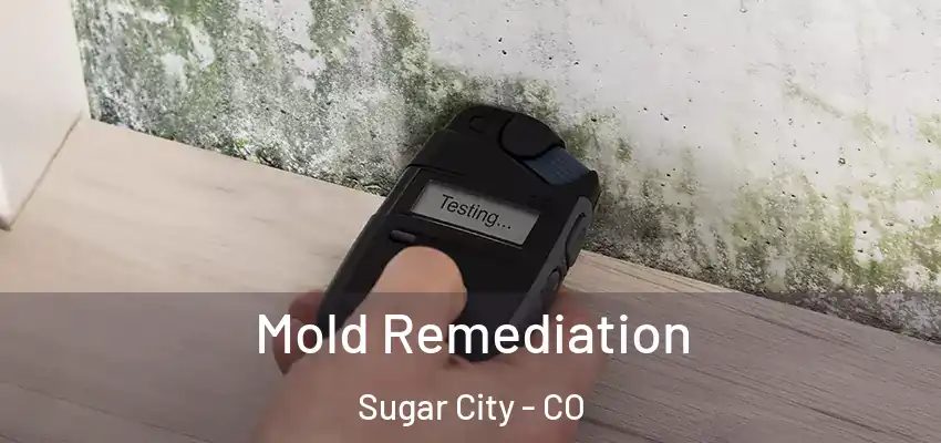 Mold Remediation Sugar City - CO