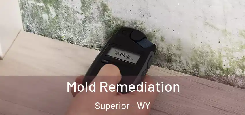 Mold Remediation Superior - WY