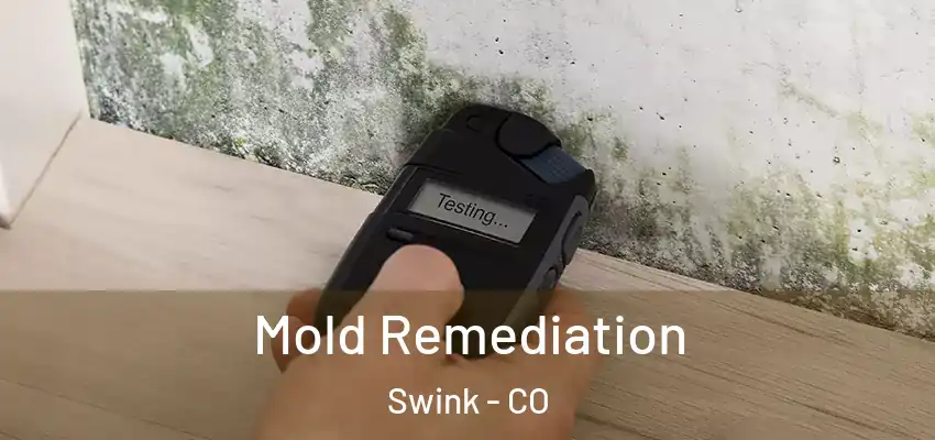 Mold Remediation Swink - CO