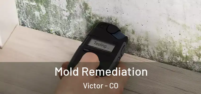  Mold Remediation Victor - CO