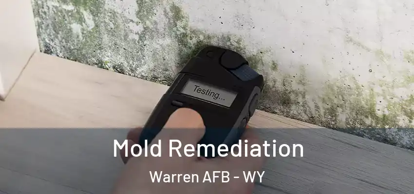  Mold Remediation Warren AFB - WY