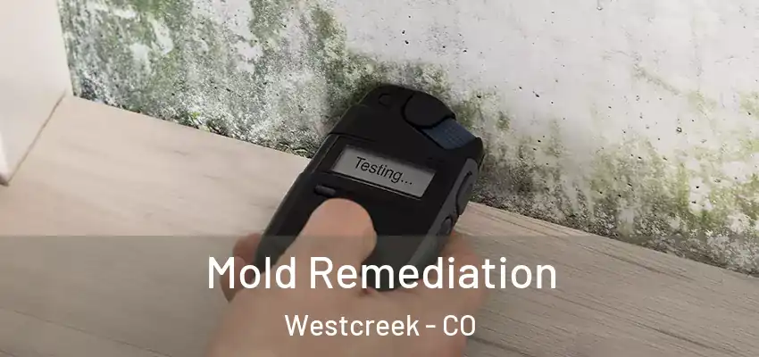 Mold Remediation Westcreek - CO