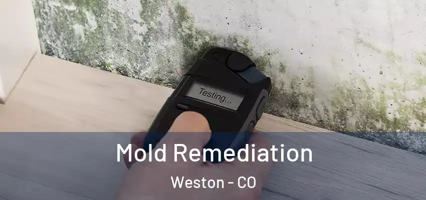 Mold Remediation Weston - CO