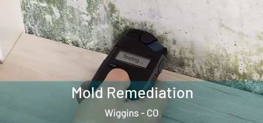 Mold Remediation Wiggins - CO