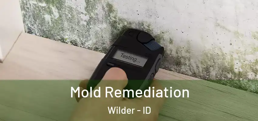  Mold Remediation Wilder - ID