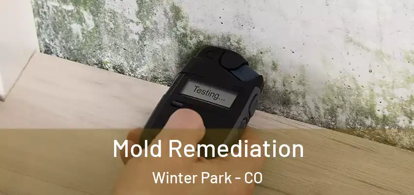 Mold Remediation Winter Park - CO